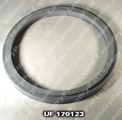 U F200000200 GASKET DOOR CH20 GRAY